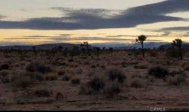 0 Warren Vista Avenue, Yucca Valley, California 92285, ,Land,Buy,0 Warren Vista Avenue,OC24168505