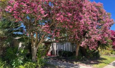 Ground Floor Entry with no stairs or steps - Enter from a beautiful tree-lined entry.