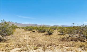 19555 Jackson Avenue, Apple Valley, California 92307, ,Land,Buy,19555 Jackson Avenue,TR24173759