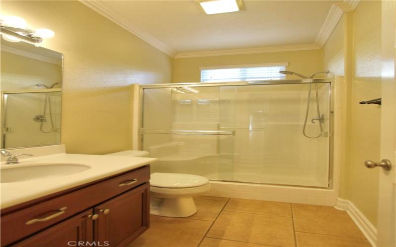 Downstairs guest bathroom