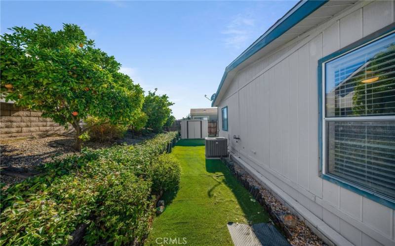 storage shed and fruit