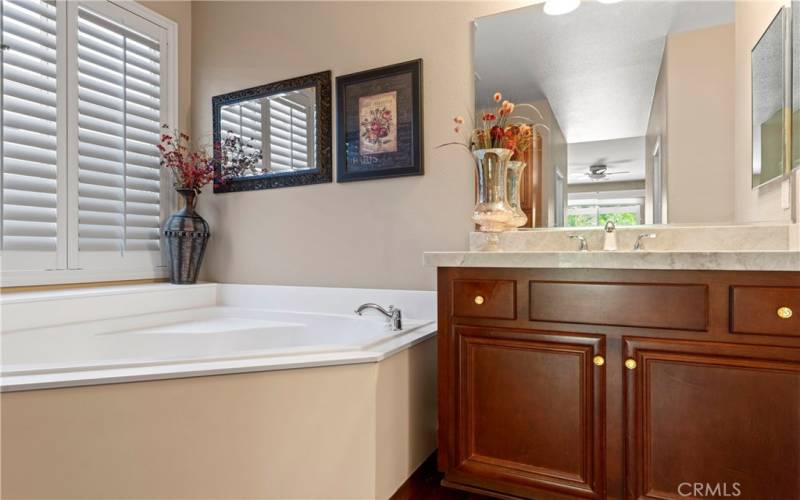 Master Bathroom Soaking Tub