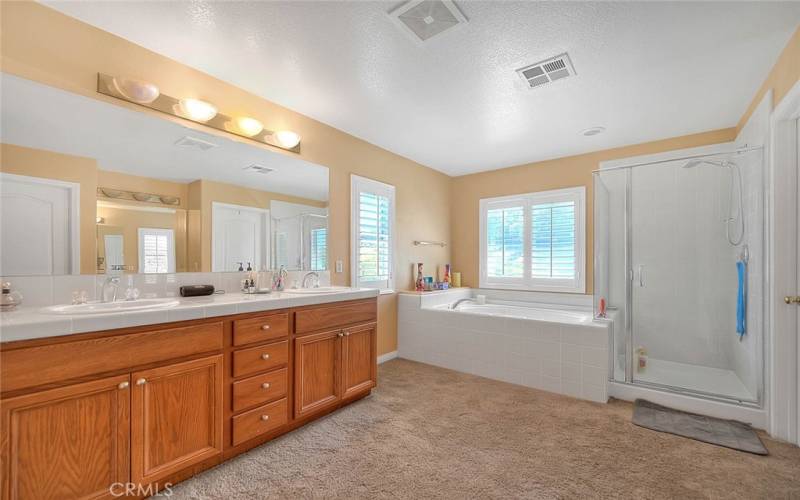 Master Bathroom 1