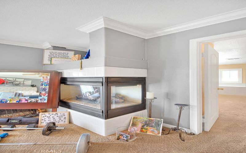 Cozy Private Fireplace in Master Bedroom