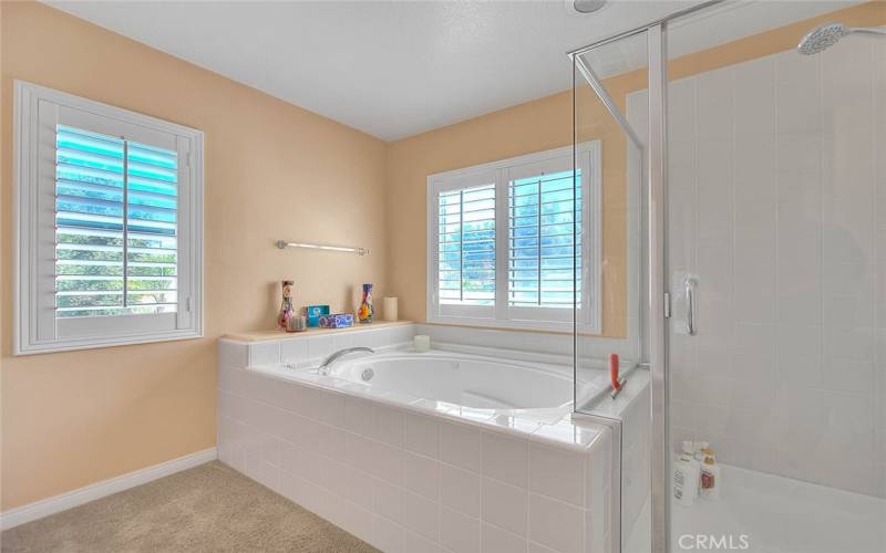 Separate Shower and Tub