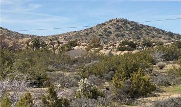 56479 Duarte Street, Yucca Valley, California 92284, ,Land,Buy,56479 Duarte Street,JT24174301