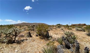 59136 Wilcox Lane, Yucca Valley, California 92284, ,Land,Buy,59136 Wilcox Lane,JT24174342