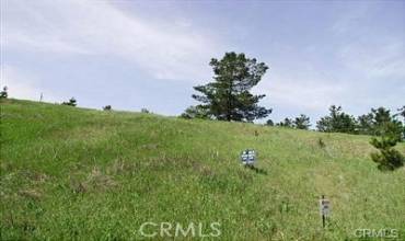 0 London Ln, Cambria, California 93428, ,Land,Buy,0 London Ln,SW24152056