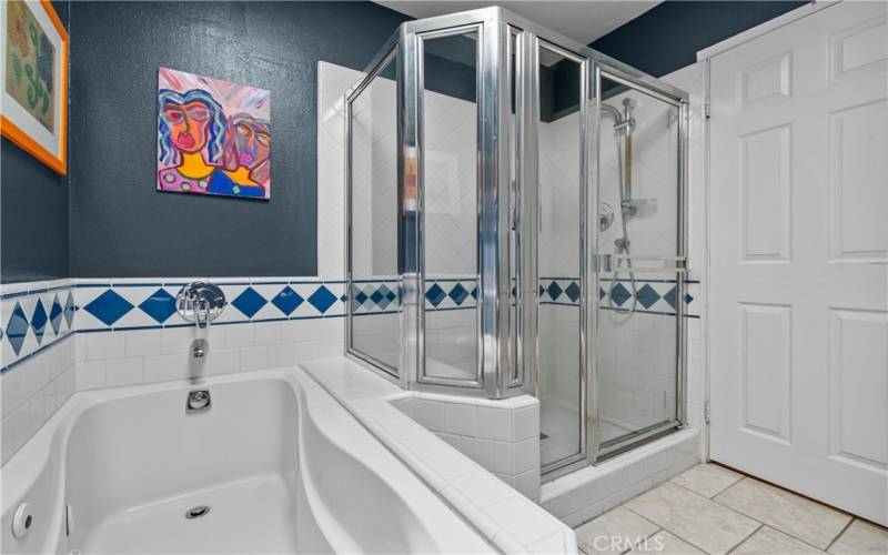 Primary Jacuzzi Tub and Shower