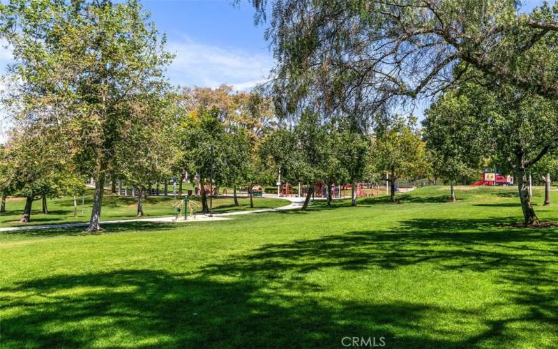 Lots of green grass to sit under a tree and relax reading a book or whatever else you like to do