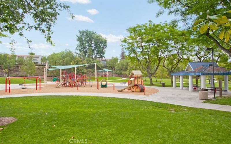 Playground at the park