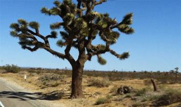 0 Silver lake Rd, Adelanto, California 92301, ,Land,Buy,0 Silver lake Rd,HD24174961