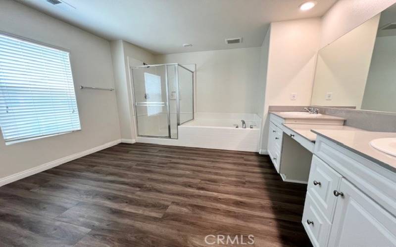 Master bathroom