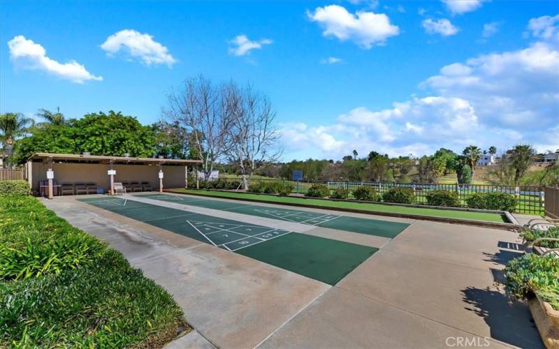 Bocce ball and shuffleboard