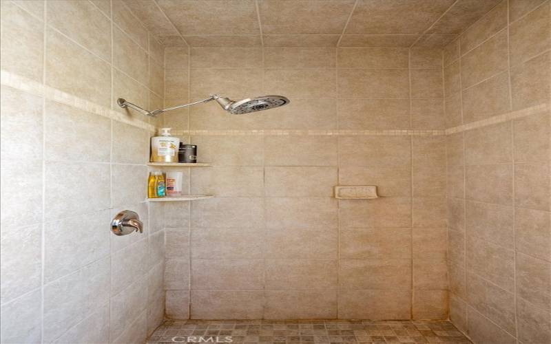 Master Bath Walk in Shower