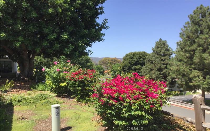 View from Outside Back Enclosed Patio