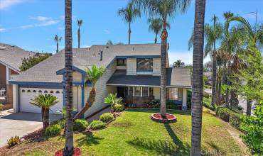 Fabulous front yard