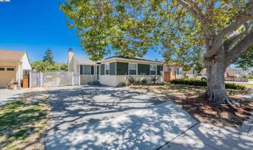 17220 Hesperian Blvd, San Lorenzo, California 94580, 4 Bedrooms Bedrooms, ,2 BathroomsBathrooms,Residential,Buy,17220 Hesperian Blvd,41069916