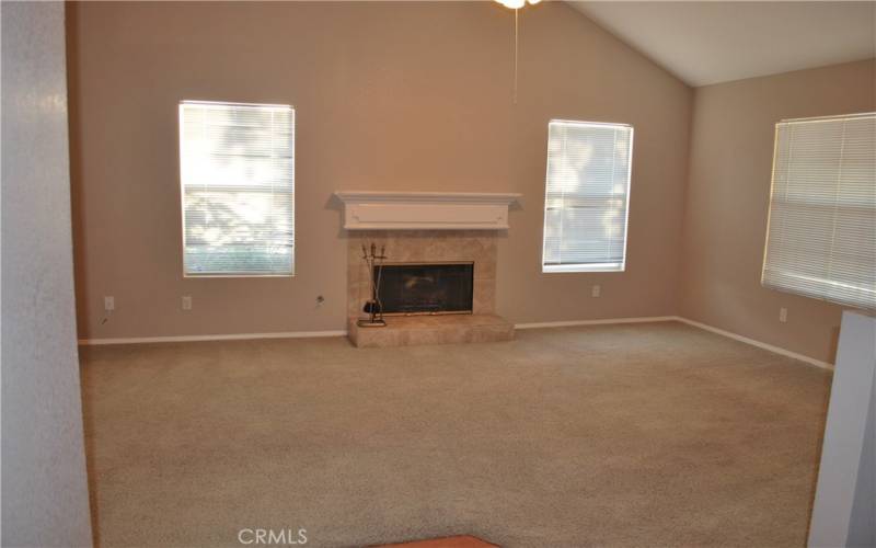 LIVING ROOM WITH GAS FIREPLACE