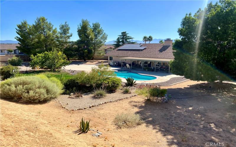 Gorgeous large landscaped backyard