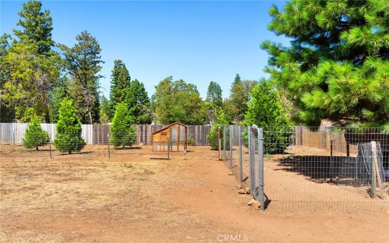 Fenced Chicken Run