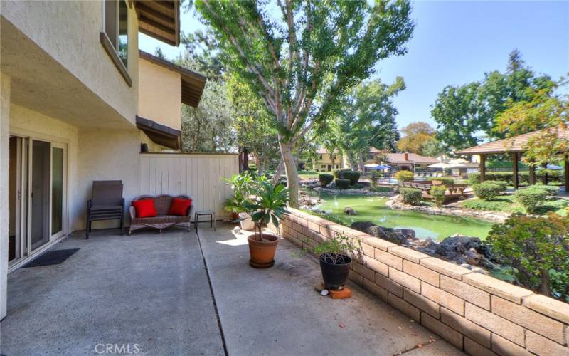 Back yard patio w/ fountains