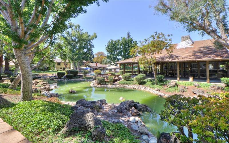 Back yard patio w/ fountains