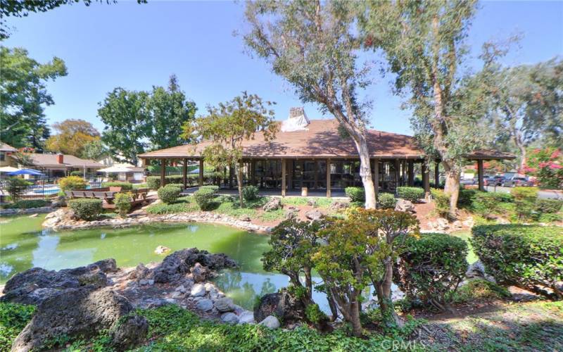 Back yard patio w/ fountains