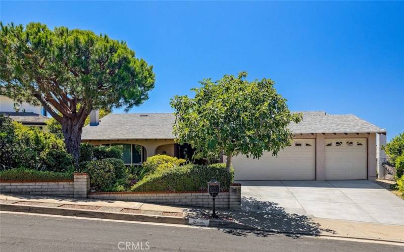 3 car garage, 3 car apron, BIG FIG TREE!