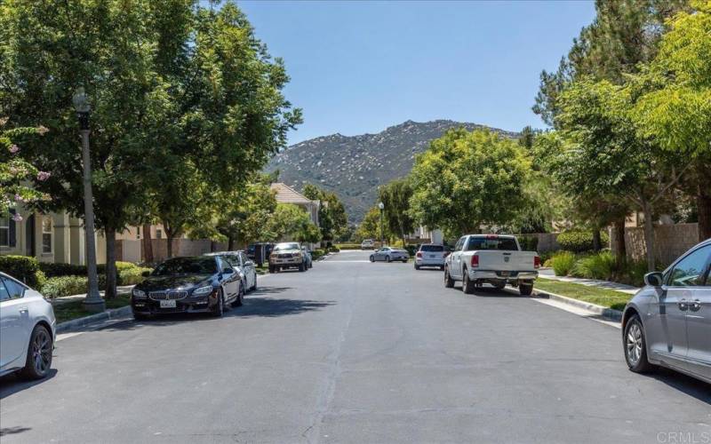 As you drive down Domenoe wy, you see picturesque mountain backdrop & flowering trees lining streets