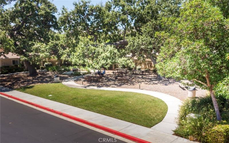 Serene Atmosphere - inviting picnic benches and mature trees perfect for relaxation.