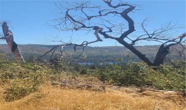 0 Hog Ranch Road, Concow, California 95966, ,Land,Buy,0 Hog Ranch Road,OR24175906