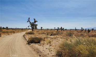 0 Ave L-4 & 12th St East, Palmdale, California 93550, ,Land,Buy,0 Ave L-4 & 12th St East,SR24175910