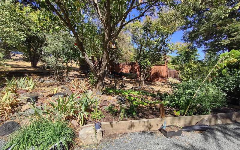 vegetable garden, hammocks and rocked pond