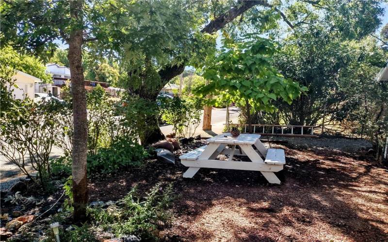 shaded and landscaped front yard