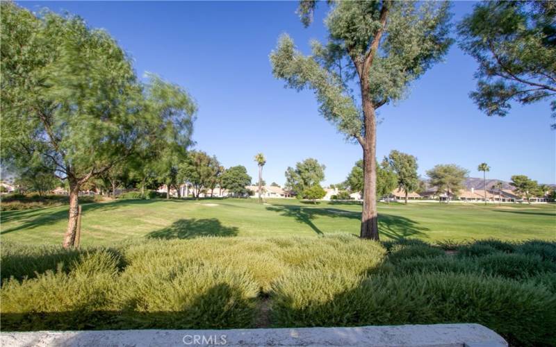 sand trap near the green, see the pin