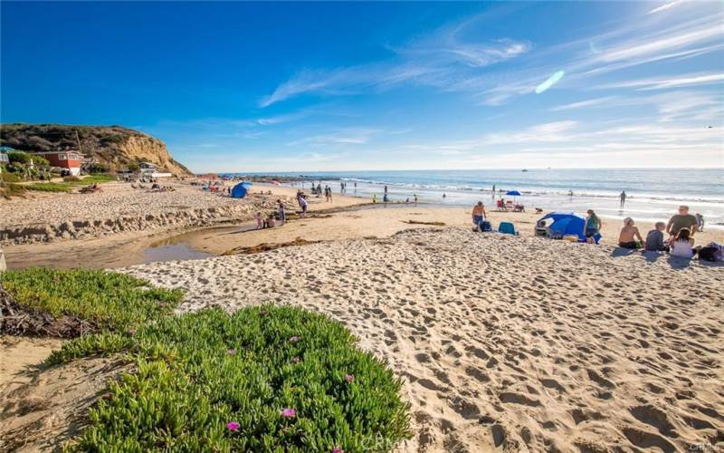 Sign up for a Guided Tour around the Tide pools or just enjoy the beautiful beach.