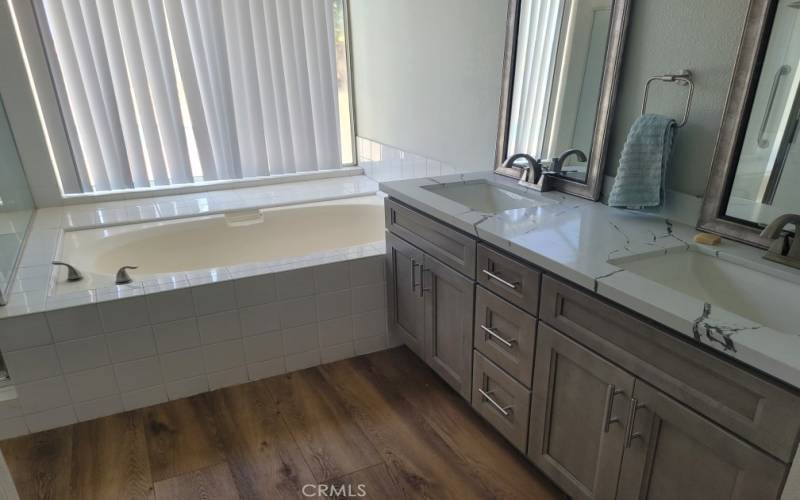 Primary bath tub & vanity