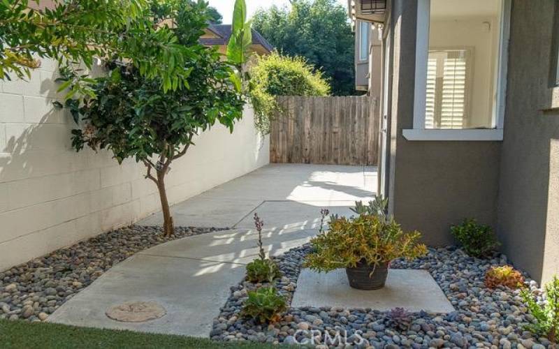 A lovely landscaped rear with room to entertain