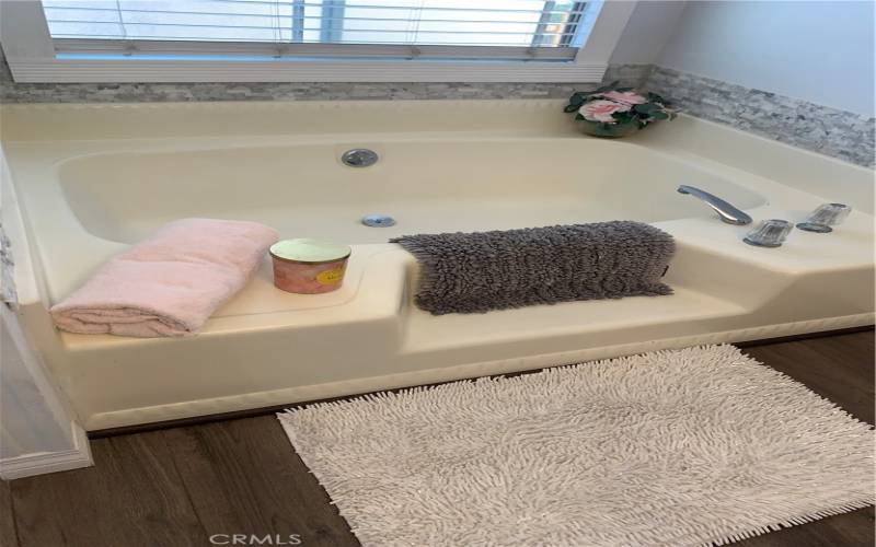 Garden Tub in the Primary Bath Room