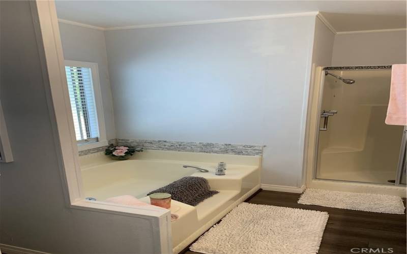 Garden Tub in the Primary Bath Room