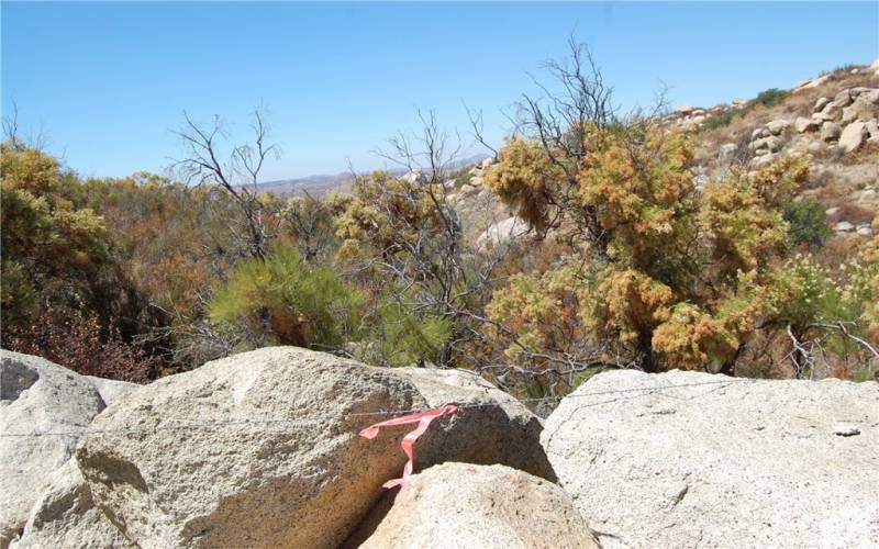 The property's perimeter is fenced off or marked by metal post and wire.