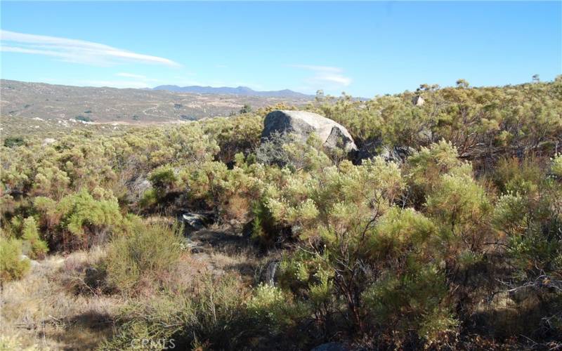 View of the hills.