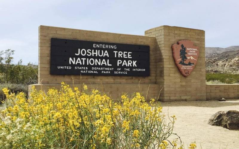 Joshua Tree National Park