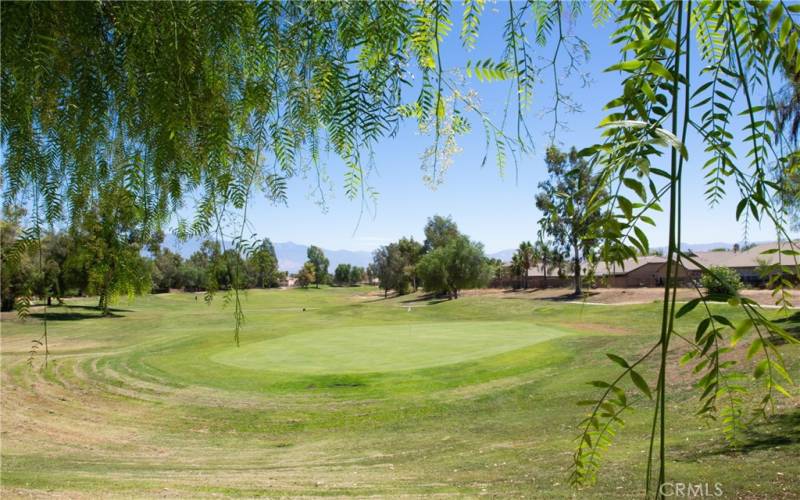 Hemet Golf Club runs throughout this extraordinary community.