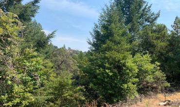 950 Middleton Drive, Boulder Creek, California 95006, ,Land,Buy,950 Middleton Drive,ML81807489