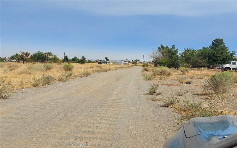 view to the West from southwest corner of lot