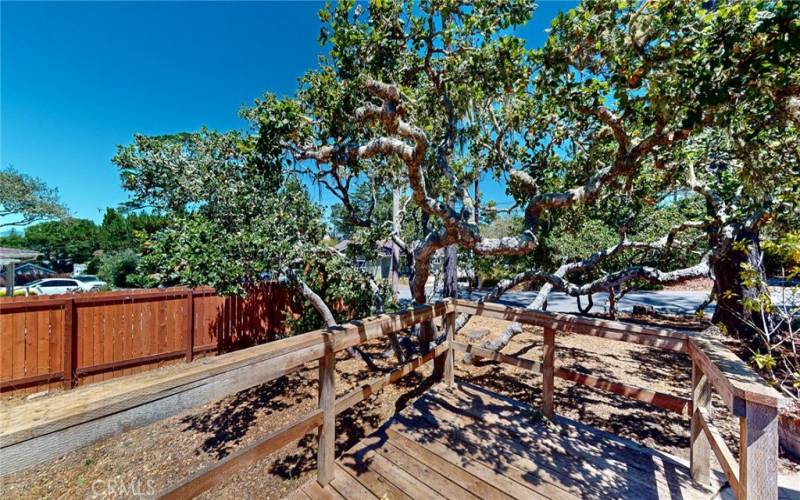 North side of house, wood deck