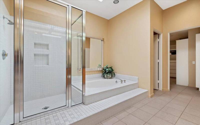 Master Shower & Tub