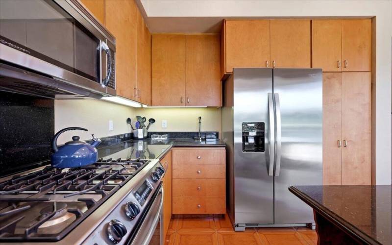 Stainless Appliances